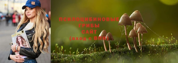 гашик Зерноград