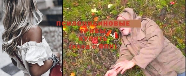 гашик Зерноград