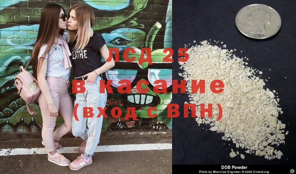 стафф Зеленокумск