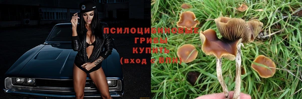 мет Иннополис