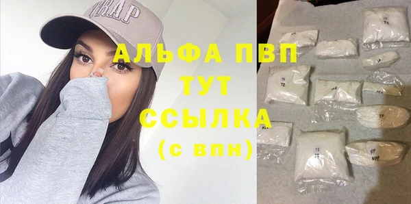 стафф Зеленокумск