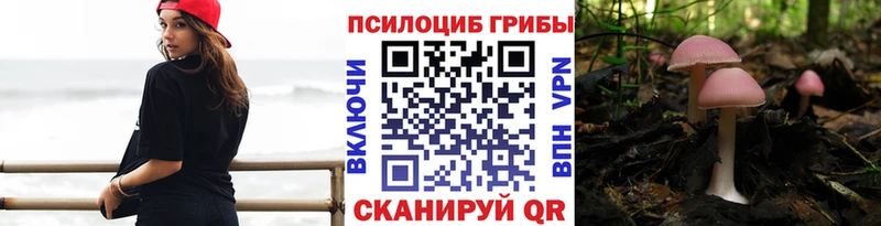Купить где  Дегтярск  Псилоцибиновые грибы мицелий 